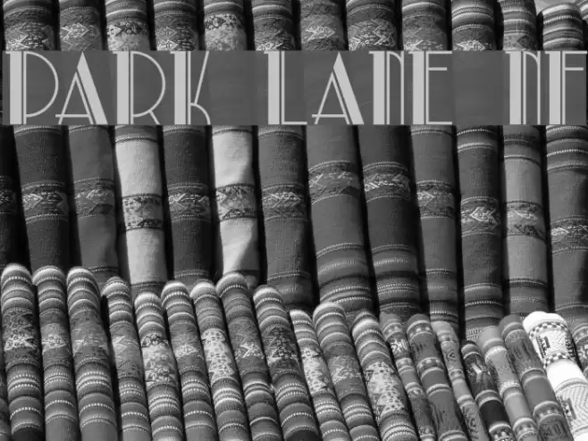 Park Lane NF Font examples