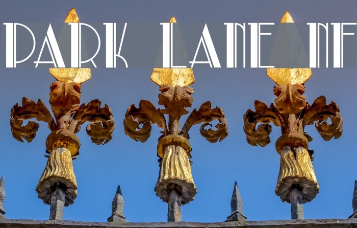 Park Lane NF Font examples