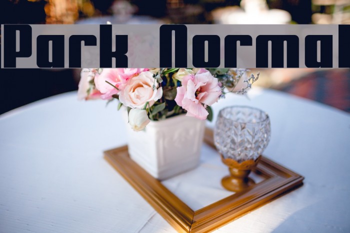 Park Normal Font examples