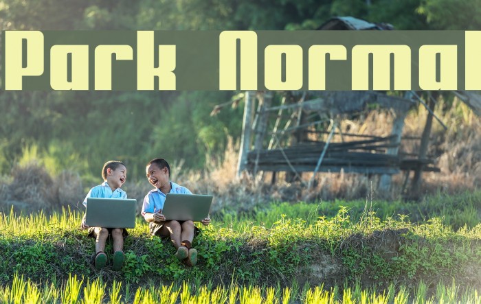 Park Normal Font examples