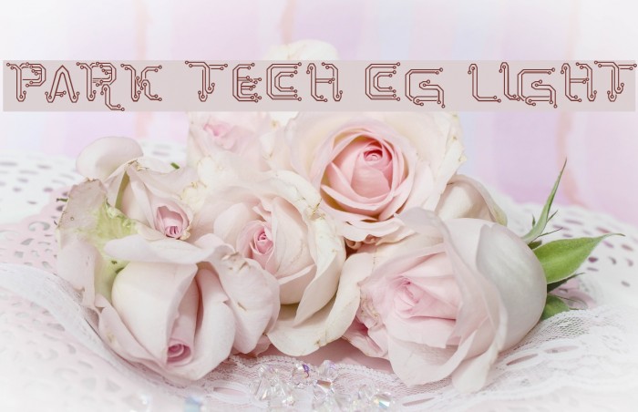 Park Tech CG Light Example 3