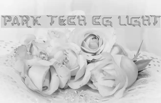 Park Tech CG Light Font examples