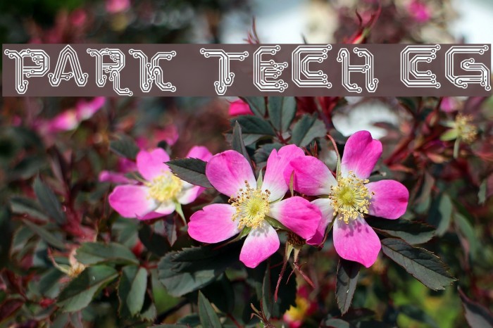 Park Tech CG Font examples