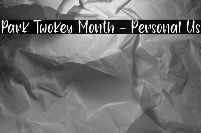 Park Twokey Month - Personal Us Example 3