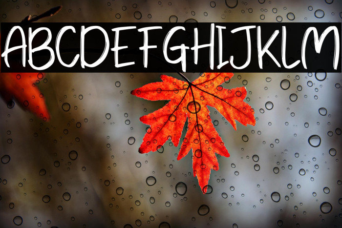 Park zoo Regular Example 1