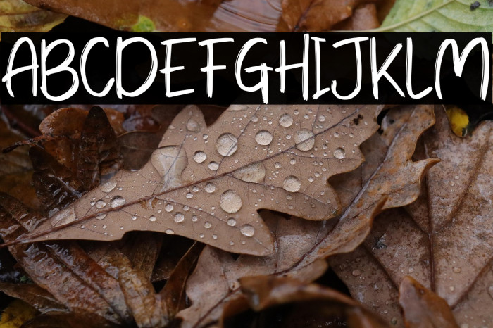 Park zoo Regular Example 2