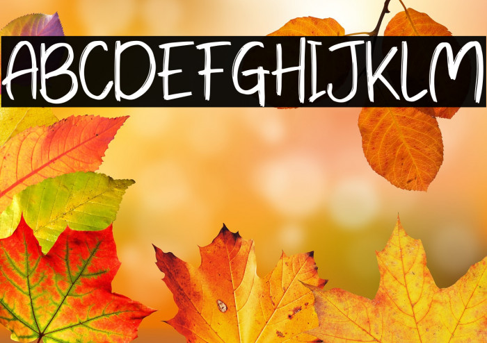 Park zoo Regular Example 3