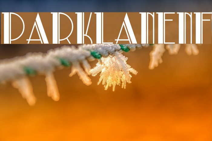 ParkLaneNF Font examples