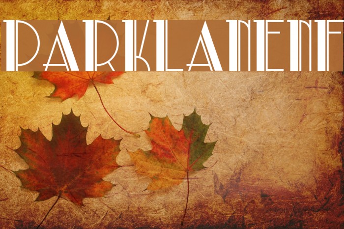 ParkLaneNF Font examples