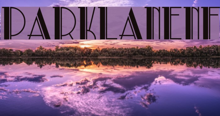 ParkLaneNF Font examples