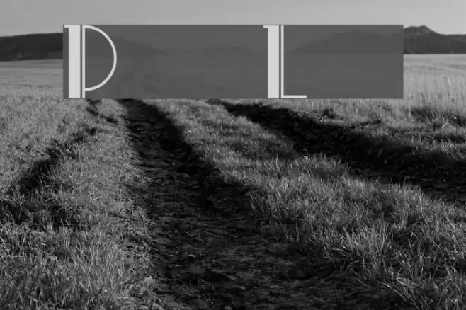 ParkLane Font examples