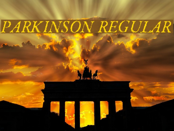 Parkinson Regular Font examples