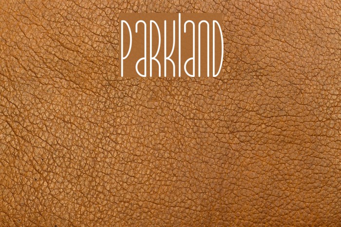 Parkland Font examples