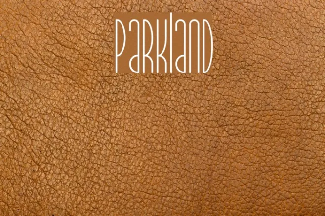 Parkland Example 2