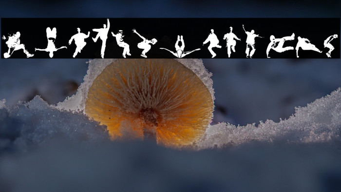 Parkour - L art du deplacement Example 2