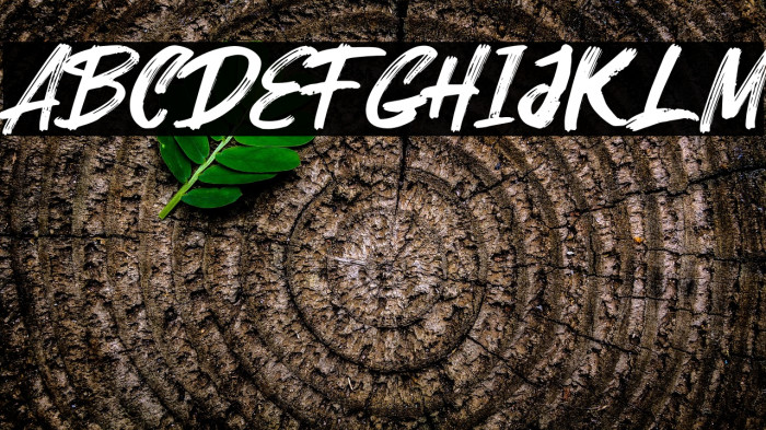 Parkway Lush Example 1