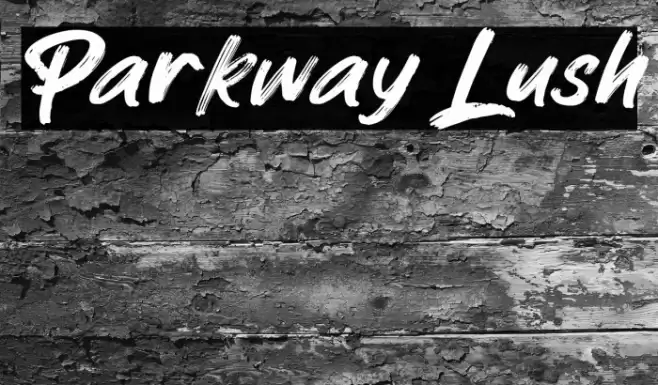 Parkway Lush Font examples
