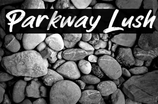 Parkway Lush Font examples