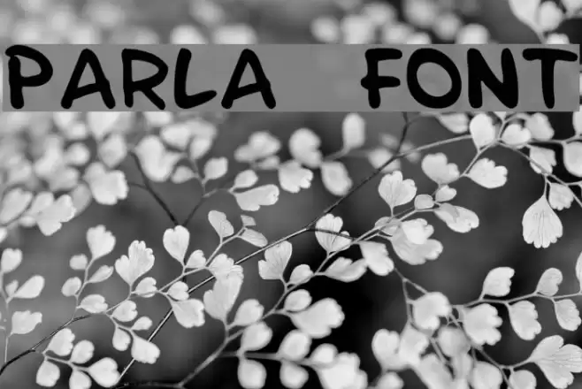 Parla Font examples