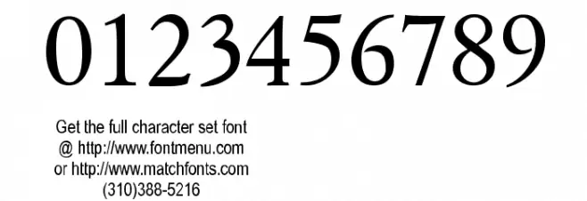 Parlante Tryout Font OTHER CHARS