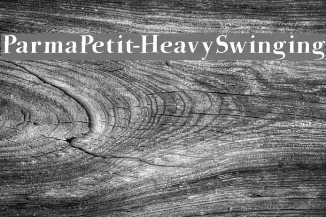 ParmaPetit-HeavySwinging Fonte examples