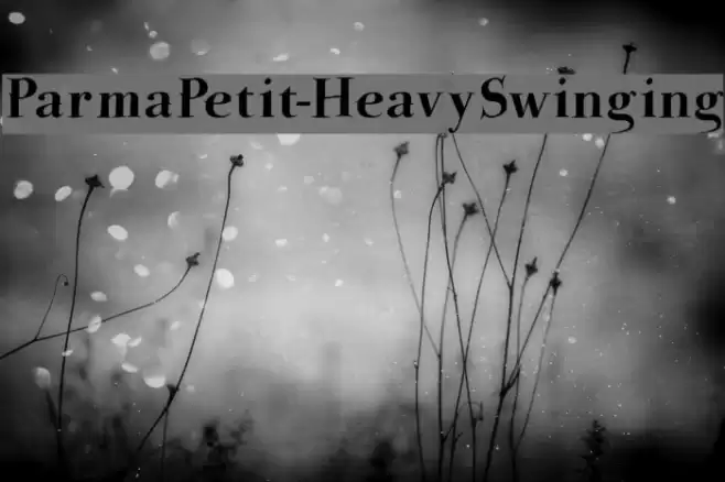ParmaPetit-HeavySwinging Fonte examples