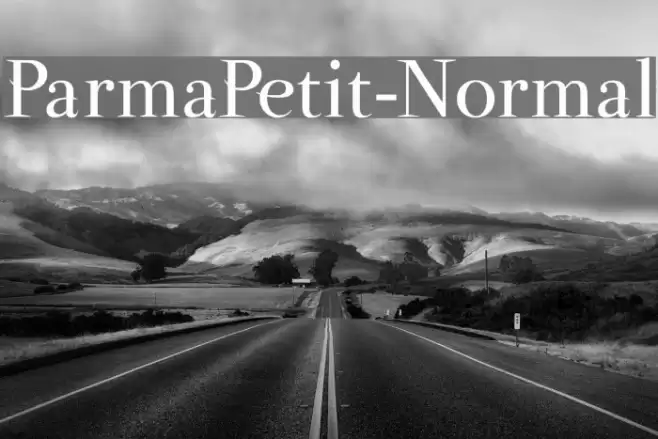 ParmaPetit-Normal Fonte examples