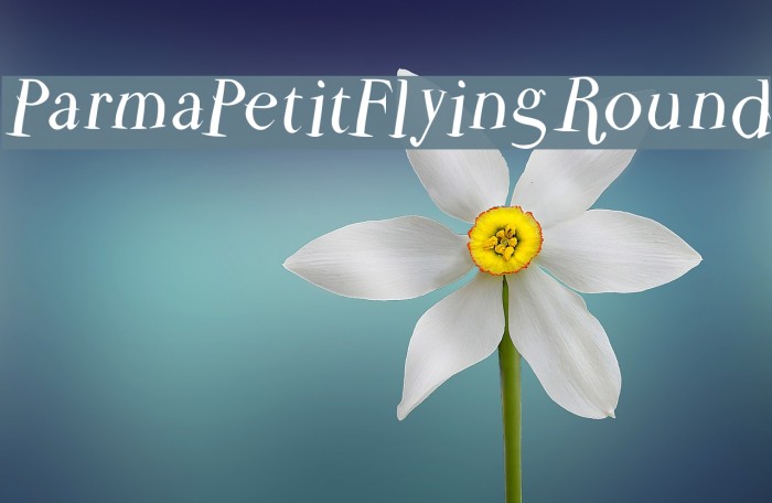 ParmaPetitFlyingRound Font examples