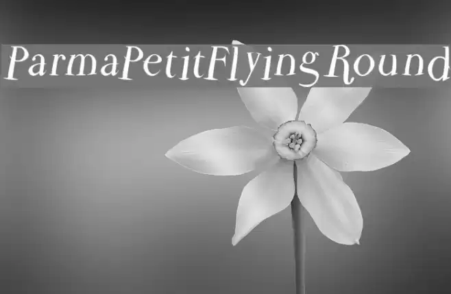 ParmaPetitFlyingRound フォント examples