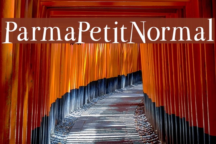 ParmaPetitNormal Font examples