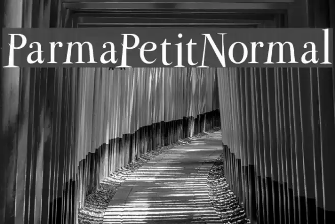 ParmaPetitNormal फ़ॉन्ट examples