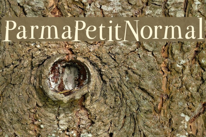 ParmaPetitNormal Font examples