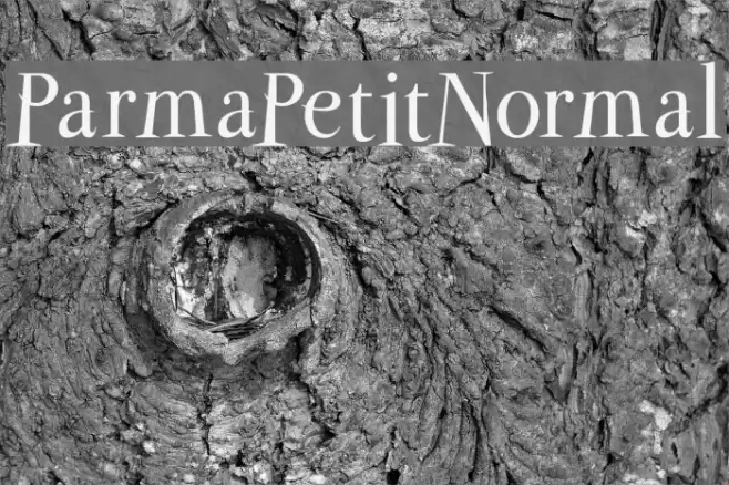 ParmaPetitNormal फ़ॉन्ट examples