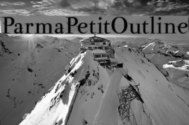 ParmaPetitOutline  examples