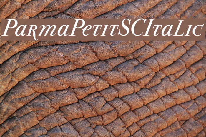 ParmaPetitSCItalic Font examples