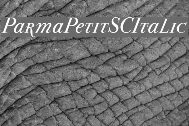 ParmaPetitSCItalic Font examples
