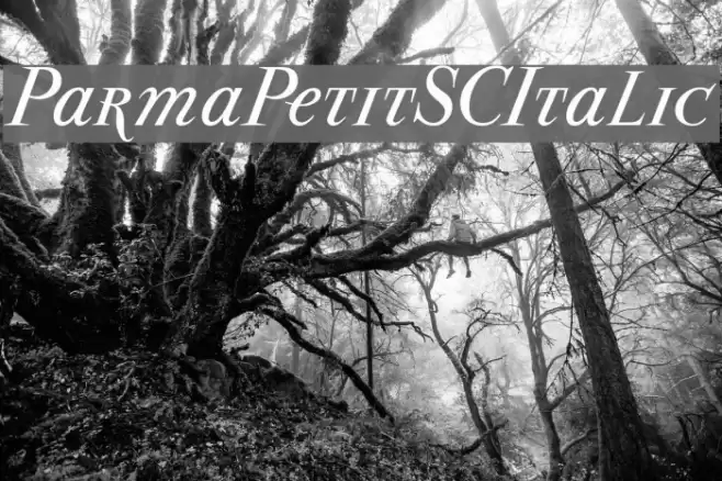 ParmaPetitSCItalic Font examples