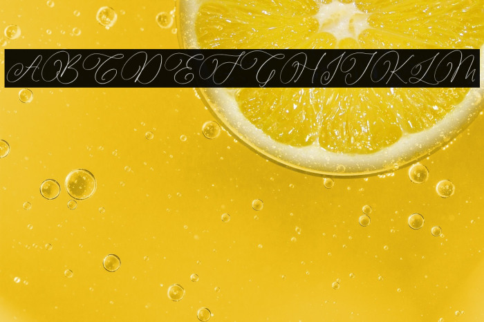 Parmidass Elarista Example 1