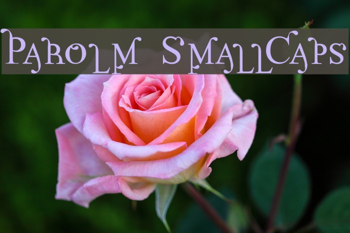 Parolm SmallCaps Font examples