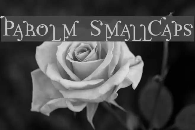 Parolm SmallCaps Polices examples
