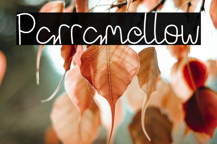 Parramellow Example 2