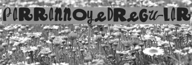 Parrannoyed-Regular Font examples