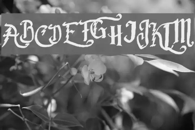 Parry Hotter Font examples