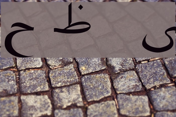 Pars Ziba   Draft Example 3