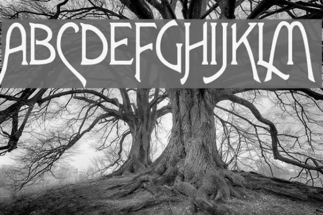 Parsnip Шрифта examples