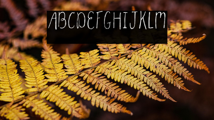 Parsnips Regular Example 1