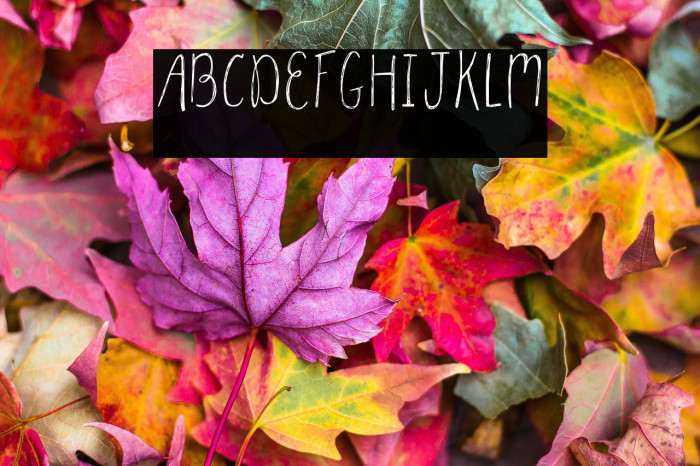 Parsnips Regular Example 2