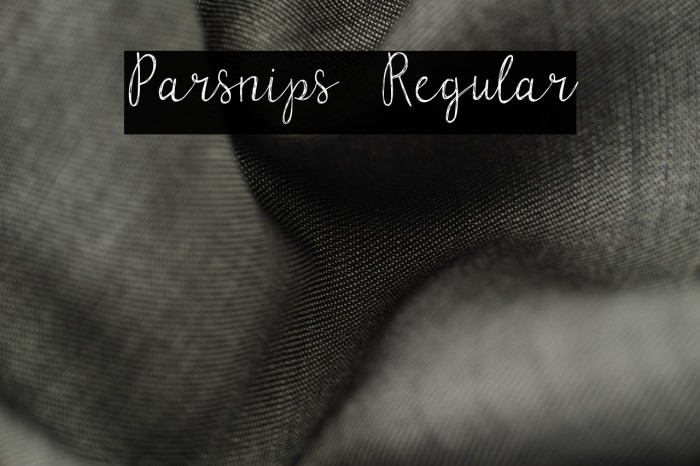 Parsnips Regular Example 1