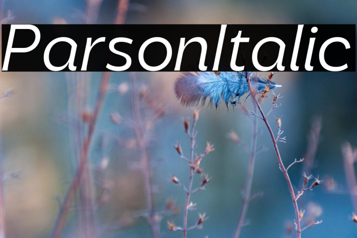 Parson Italic Example 1
