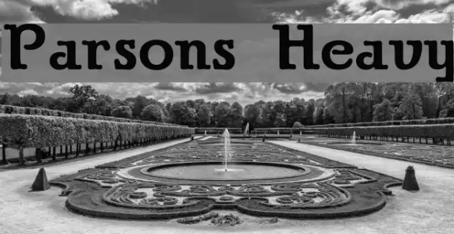 Parsons Heavy Font examples